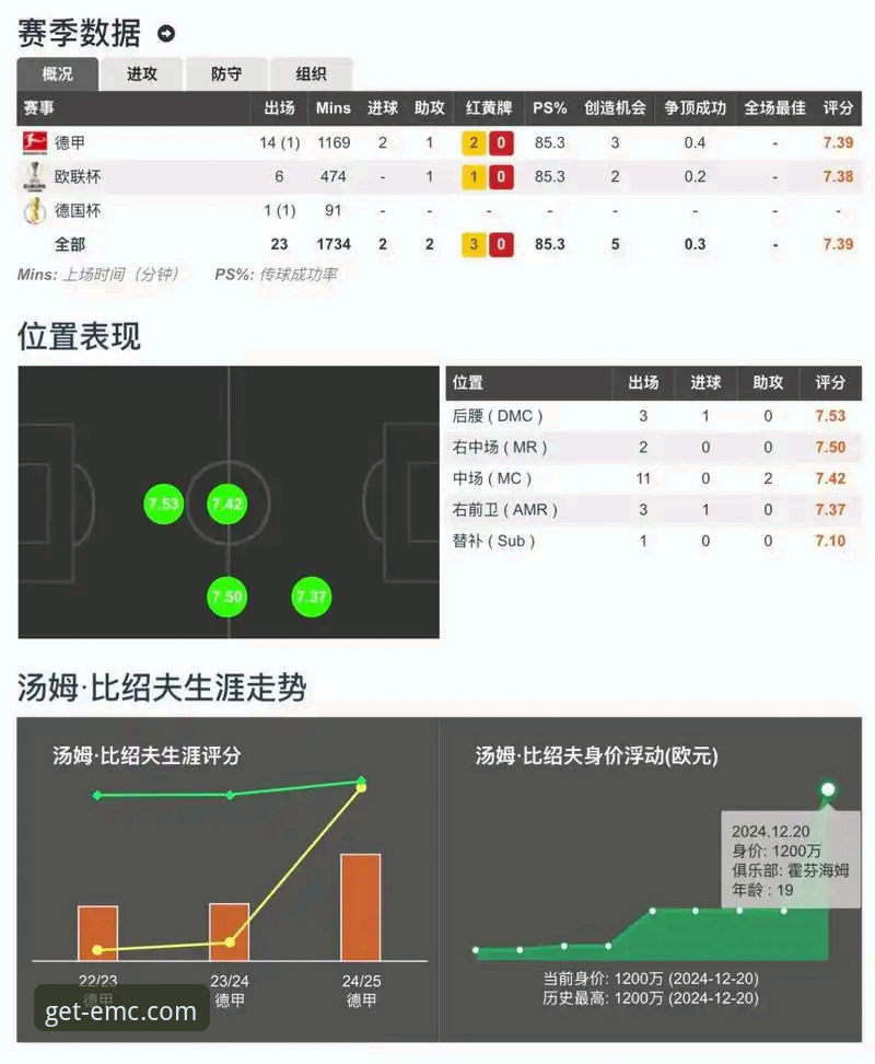 易倍体育平台最新评测：深度解析易倍体育与EMC体育对比必备要点